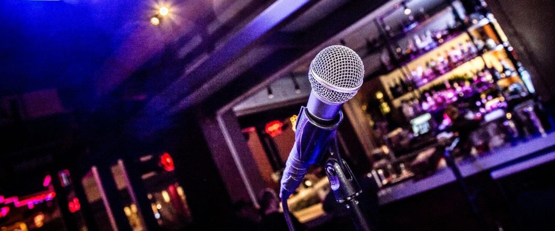 The Benefits and Drawbacks of Investing in a Karaoke Bar Business